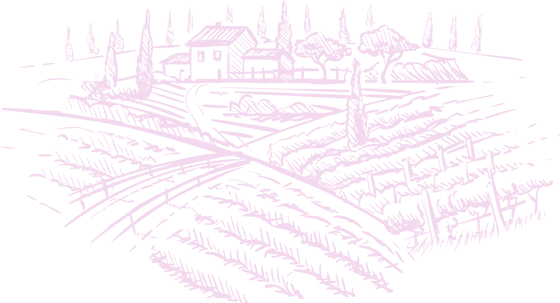 Farm illustration